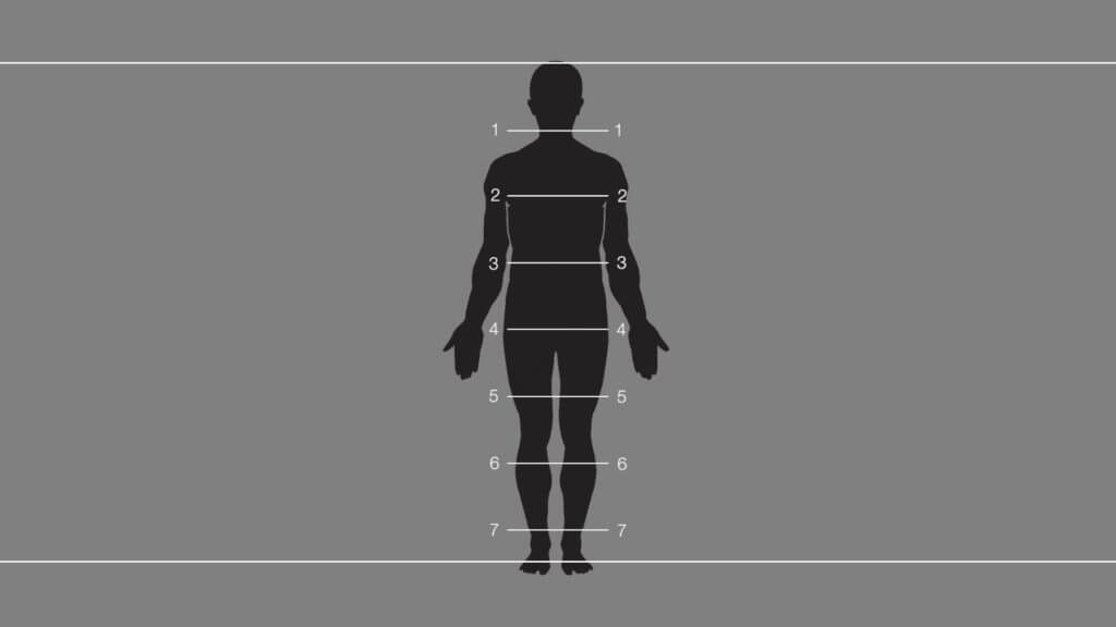In the 7.5 head figure canon, the distance between the top of the head and the chin fits approximately 7.5 times between the top of the head and the floor on a standing figure.