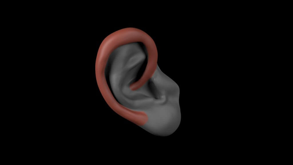 Ear with highlighted helix.