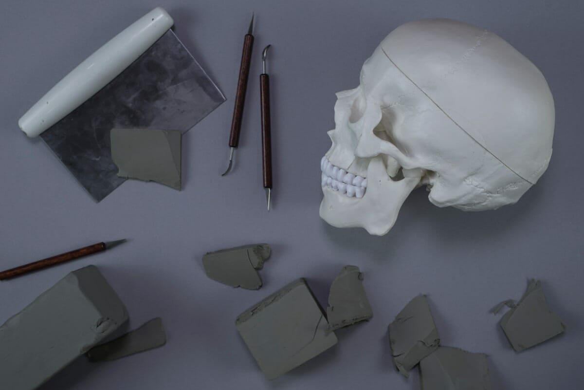 Anatomy of the Face