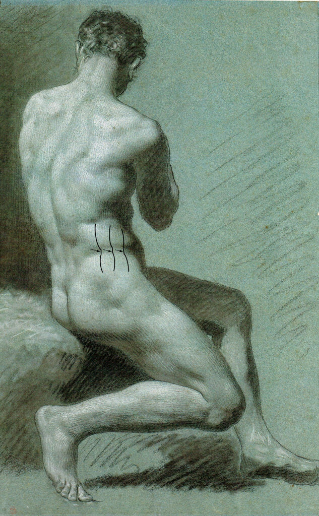 In this drawing by Prud'hon, we can clearly see the "spacer" form of the iliac crest of the pelvis between the external oblique above, and the gluteus medius below.
