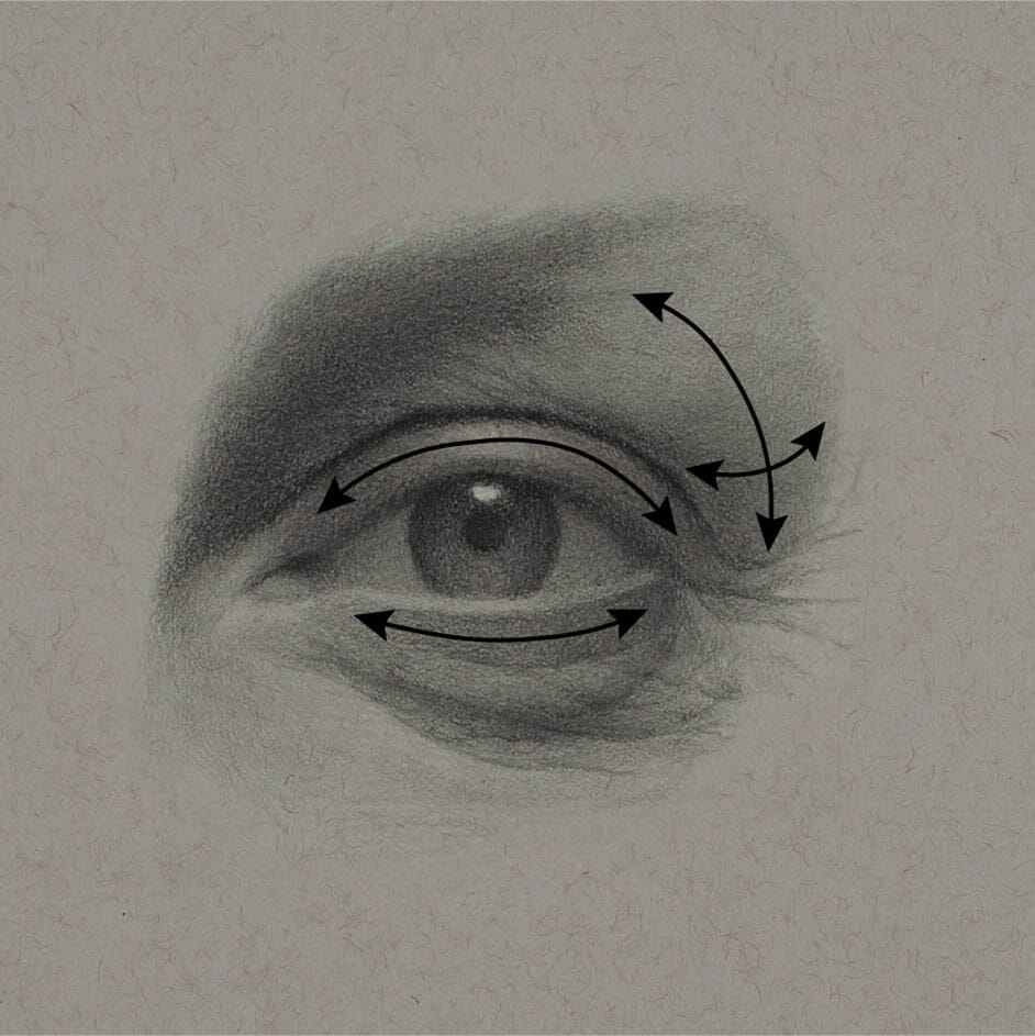 This in-progress shot of the eye drawing shows how we want to think about the "turning" of the form while developing value gradations.