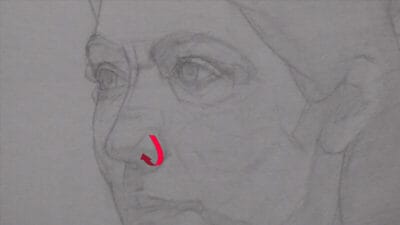 The lateral surface of the nasal wing turns downward laterally, and turns <em>up and inside</em> the nose for a short distance.